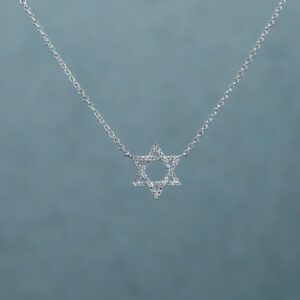 Silver Star of David necklace