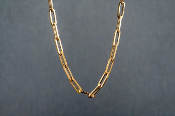 A close up of a chain link necklace
