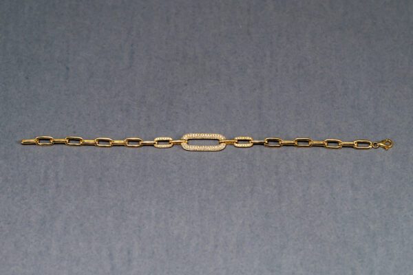 A chain with an oval link and a gold plated clasp.