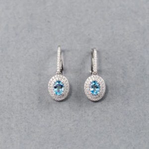 A pair of earrings with blue and white stones.