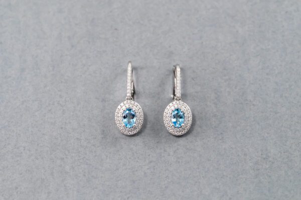 A pair of earrings with blue and white stones.